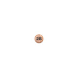 2B (W-2B)